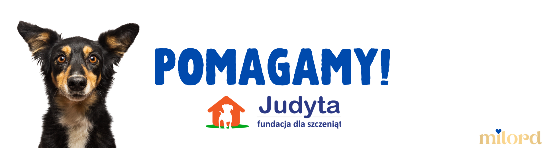 FUNDACJA JUDYTA